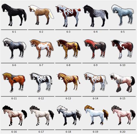 bdo breed horse|rarest horse in the world.